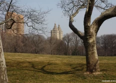 Central Park