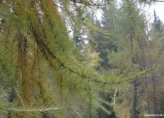 De Airolo à Fusio