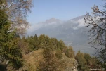 IMG 2678
