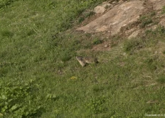 Nord du Tessin (Thèse)