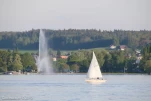 IMG 7990
