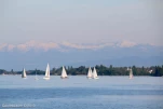 IMG 7992
