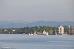 IMG 7994