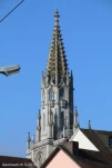 IMG 7877