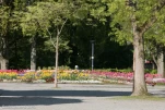 IMG 7899