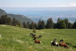 IMG 4696