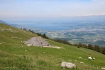 IMG 9949