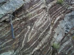 pli radiolarites