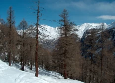 Journée Raquette (2)