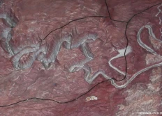 09) Barrage de Glen Canyon (05-31-2010)