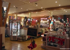 San Francisco, CA (AGU'11)