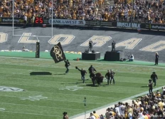 Football américain: Buffs vs. Sacramento