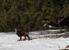 Balade Suchet-Aiguilles 2018