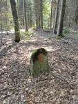 Une vieille borne en granite (bloc erratic) marquant la limite communale entre Malapalud et Echallens