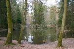 lac bremgartenwald